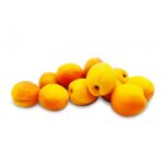 apricot-yellow-australia-360x360