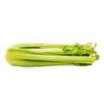 celery-yypy-360x360