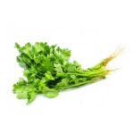 corianderloose-360x360