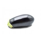 Big Round Eggplant / Terong