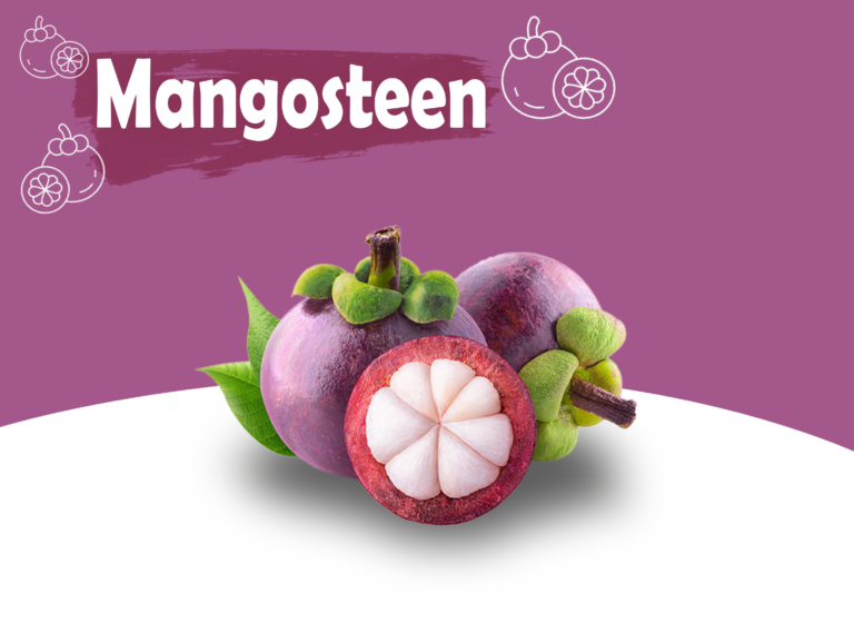 exporter of mangosteen -mangosteen benefits