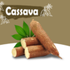 export import cassava