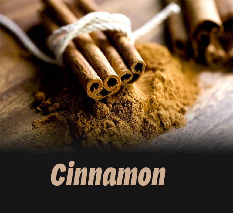Cinnamon Exporter - cinnamon sticks
