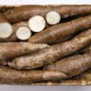 export import cassava