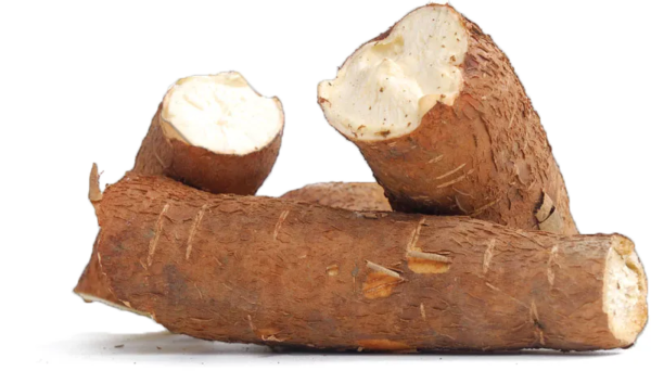casava