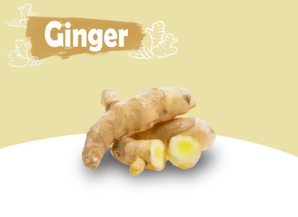 Ginger Exporter - ginger spice