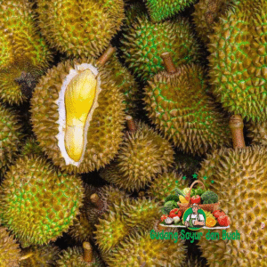 Grosir Durian