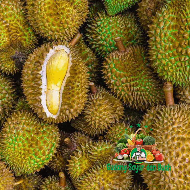 Grosir Durian