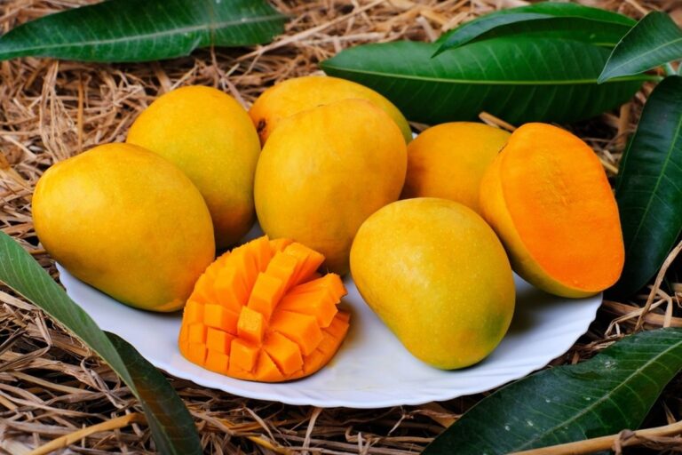 Grosir Mangga