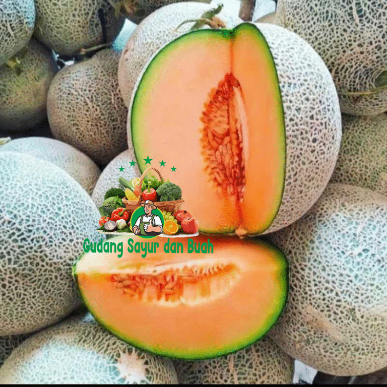 Grosir Melon