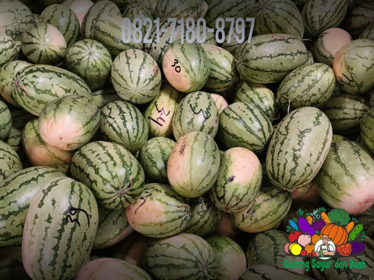 Grosir Buah Padang