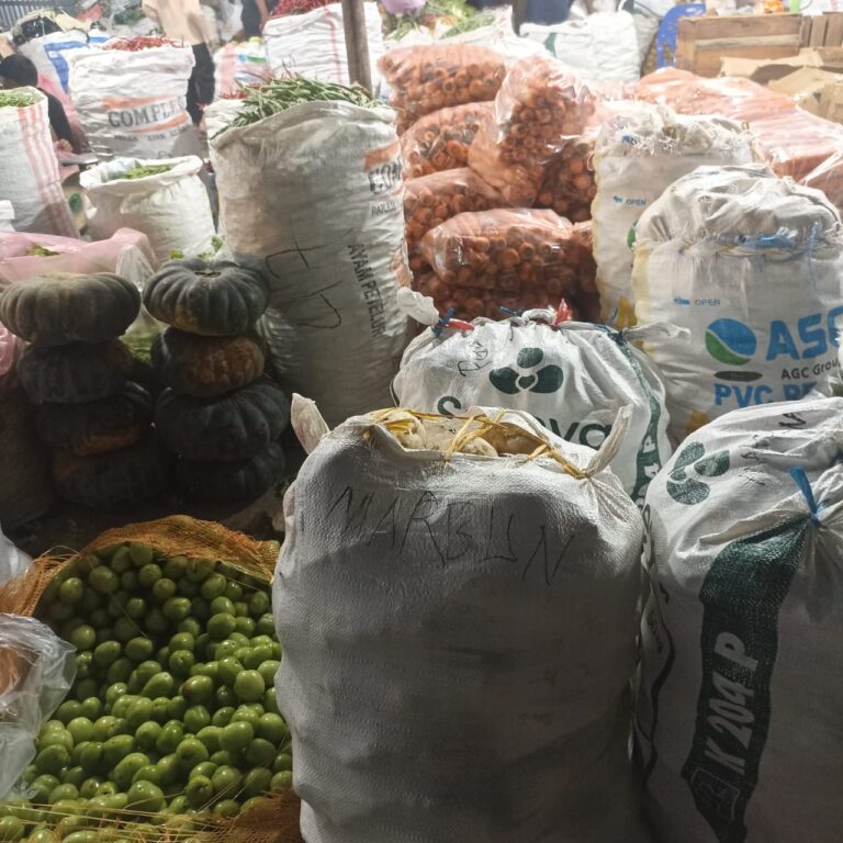 Grosir sayur Padang