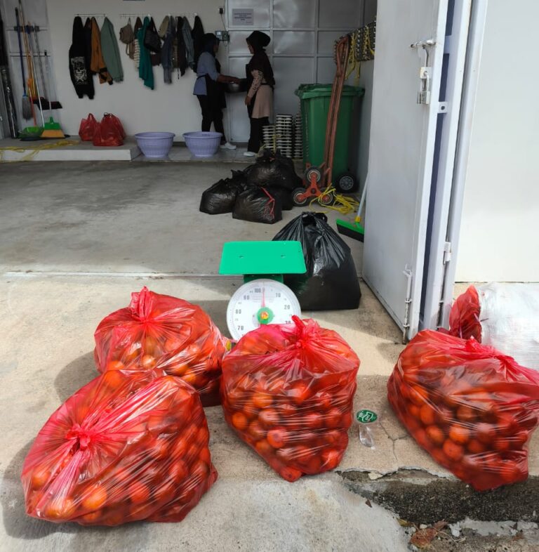 Grosir Sayur Buah Padang