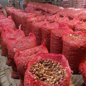 Grosir Bawang Bukittinggi